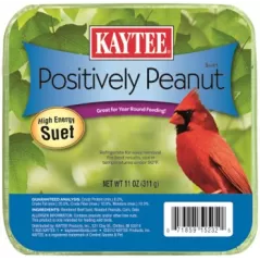 Kaytee 11oz Positively Peanut Suet