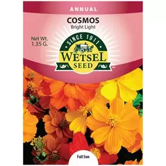 COSMOS, BRIGHT LIGHT 1.35 G