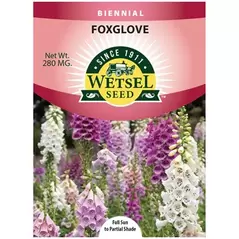 FOXGLOVE, FOXY ANNUAL 280 MG