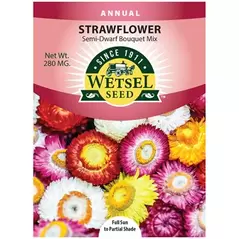 HELICHRYSUM,Strawflower SEMI-DWF Bouquet MX 280 MG