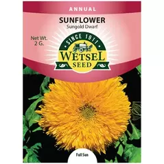 Sunflower, Sungold Dwarf - 2 Gram