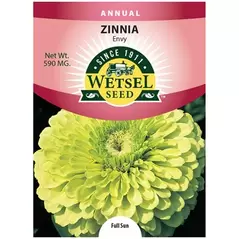 ZINNIA, ENVY 590 MG.