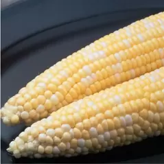 CORN, AMBROSIA 4 OZ. EACH