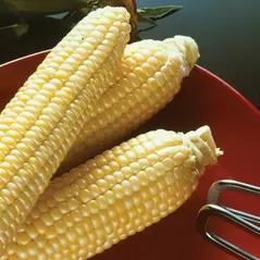 Corn, Sugar Buns Sweet - 1lb