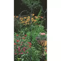 Panacea 84" Black Double Hook