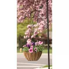 Panacea 12" Hanging Basket Growers Green