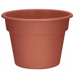 DLN 14.00 COLOR POT CL 20/CS 36CS/PL