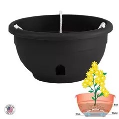 Apollo 12" Eezy Gro Hanging Basket Black