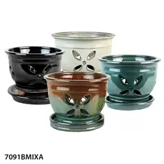 MCarr 12PC 5.5" Four Petal Orchid Pot Mixed Asst