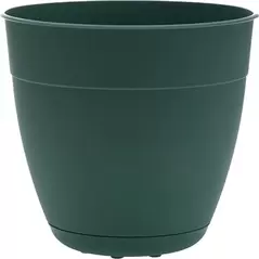 Bloem 8" Dayton Planter Turtle Green