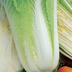 CABBAGE, MICHIHLI CHINESE 1 LB EACH