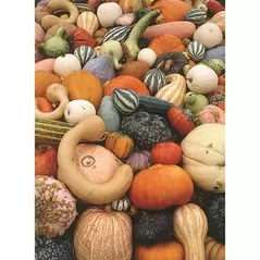 Gourds, Mixed Large Small - 1/2oz