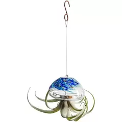 APM Air Plant Jellyfish Large Clear Blue