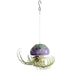 APM Air Plant Jellyfish Large Mix Purple