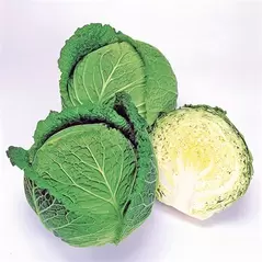 Cabbage, Savoy Ace Imp 5,000 Seed Count