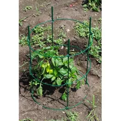Cassie Cages 24" Tomato Corral Ext Green