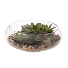 Panacea 10"D Glass Flat Terrariium Tabletop Bowl Planter With Metal Stand