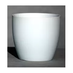 Palm Spring 6.5" Pc Lily Cache MLB