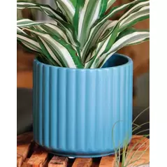 Palm Spring 8" Brush Comb Planter Dnm