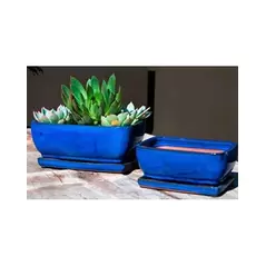 Verandah 10x8.5 Rosemary Bonsai F Blue