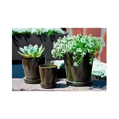Verandah 5.5" Lilac Size A Tgn