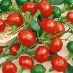 Peppers, Red Cherry Hot - 10,000 Seed Count