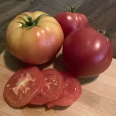 Tomato, Abe Lincoln - 500 Seed Count