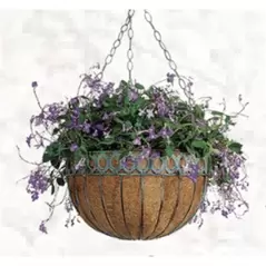 Austram 14" Queen Anne Round Hanging Green