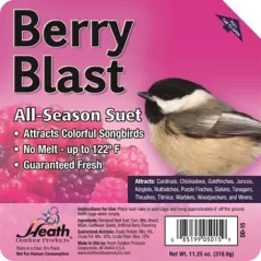 Heath 11.25oz Berry Blast All-Season High Energy Suet Cake