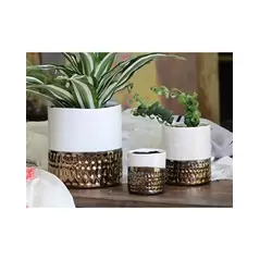 Jewel 4" Cache Pot Ivw