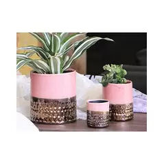 Jewel 4" Cache Pot Rose
