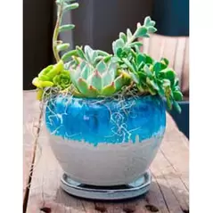 Verandah Gerberba Size B Mbl