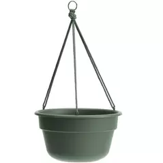 Bloem 12" Durcotta Basil Hanging Basket