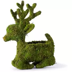 SuperMoss 4" Deco Sitting Reindeer