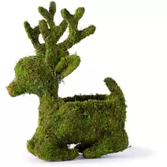 SuperMoss 6" Deco Sitting Reindeer