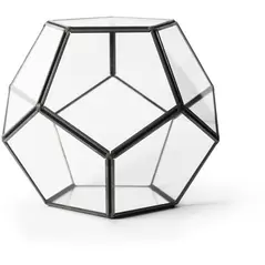 SuperMoss Glass Terrarium Dome