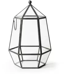 SuperMoss Glass Terrarium Atrium