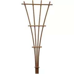 Kelmar 60" Fan Redwood Trellis
