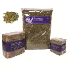 SuperMoss 200cu Bag Preserved Mountain Moss Green