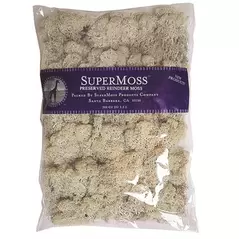 SuperMoss 8oz Reindeer Moss Natural