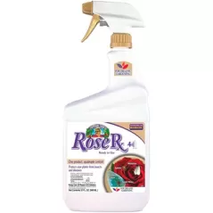 Capt Jacks Qt Rose RX 4 in 1 RTU
