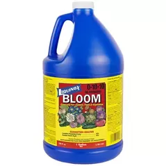 Liquinox 1gal Bloom