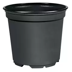 4-1/3" 1.31 pt Round Standard Black 1896/cs VCC11