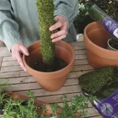 SuperMoss 2.5' Moss Pole Preserved