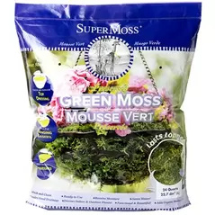 SuperMoss 24qt Forest Moss Preserved Fresh Green