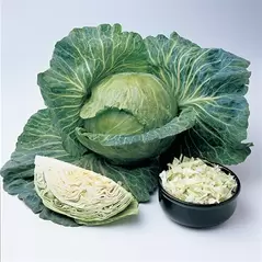 Cabbage, Wisconsin All Season - 1/2oz