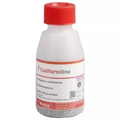 Amblyseius californicus 2,000 mites per bottle ( Spider Mite )