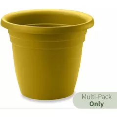 Crescent 8" Emma Planter Sun