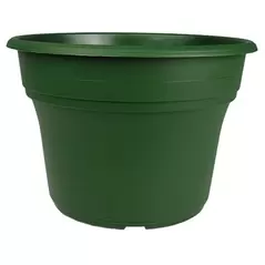 HC 8" Panterra Pot Green
