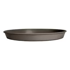 HC 12" Prima Saucer in Cappuccino